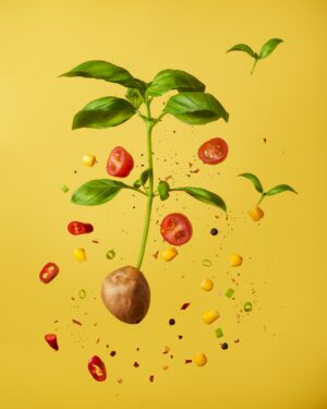 Tomatoes